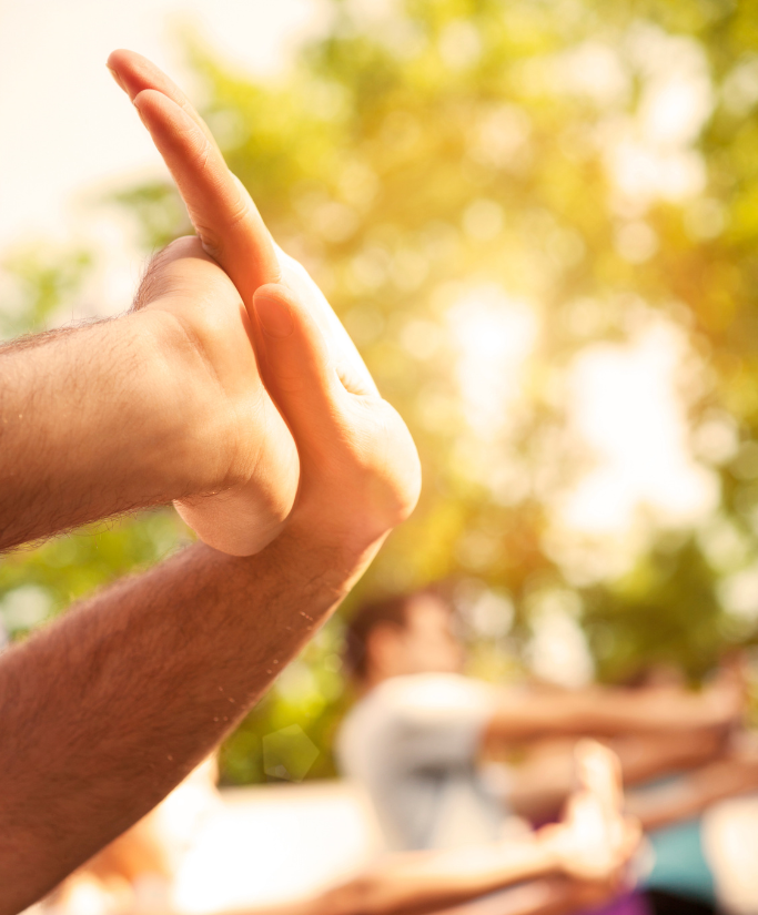 Tai Chi workshop