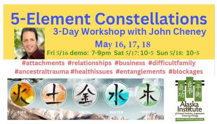 Website 700 x 400 5 Elem Constellations 5-Element Constellations