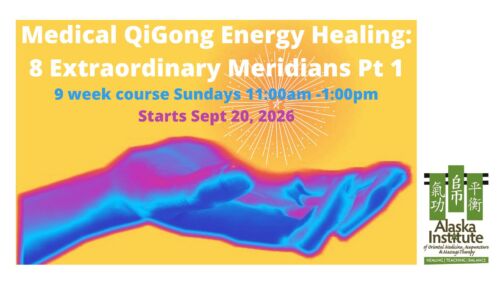 Medical QiGong 8 Extra Meridians