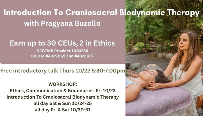 Introduction To Craniosacral Biodynamic Therapy